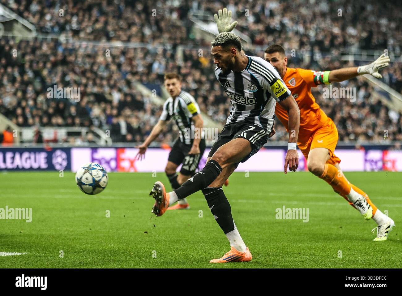 Evaluasi Mendalam Newcastle United: Joelinton Desak Perombakan Skuad Demi Kembalinya Kejayaan
