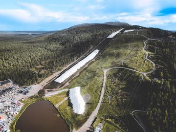 Google Terbuka Terhadap Kritik: Petaka Data Center di Finlandia, Hutan Hancur dan Serigala Masuk Desa