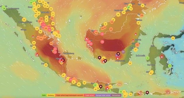 Indonesia Darurat Asap: Kualitas Udara di Sumatera dan Kalimantan Masuk Level Berbahaya, Nyawa Menjadi Taruhan