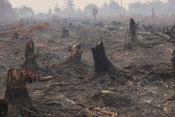 Inovasi Pemadam Kebakaran: Mengenal Realiza Antichamas Gel dari Brasil untuk Atasi Karhutla