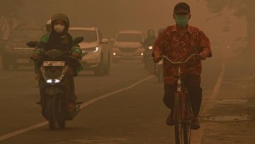Kabar Baik! Kabut Asap Karhutla Menipis Usai Hujan Begini Cara Alam Membersihkan Udara Secara Alami
