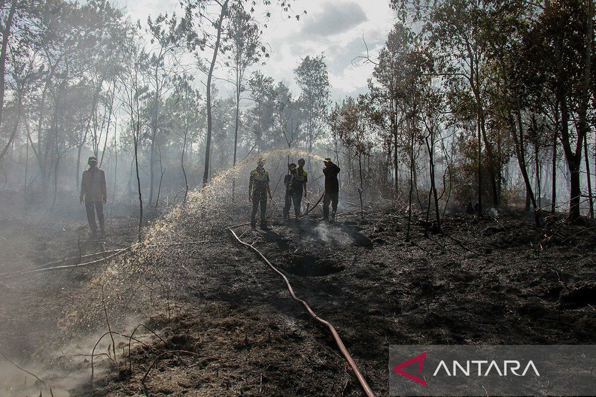 Kalimantan Membara: Luas Lahan Terbakar Tembus 27 Ribu Hektare dan Krisis Kabut Asap yang Menekan Negara Tetangga