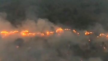 Kalimantan Membara: Tagar #PrayforKalimantan Menggema Saat Karhutla Ancam Pemukiman