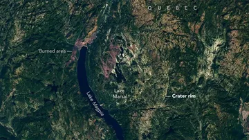 Keajaiban Google Maps: Niat Cari Lokasi Camping, Pria Ini Justru Temukan Fosil Berusia 390 Juta Tahun