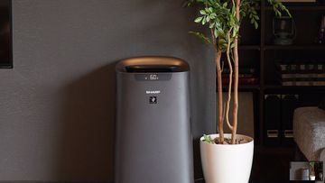 Lonjakan Permintaan Alat Pembersih Udara: Imbas Abu Anak Krakatau Penjualan Air Purifier Sharp Naik 3 Kali Lipat