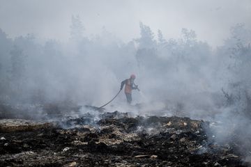Misteri Kebakaran Hutan: Mengapa Restorasi Gambut Belum Mampu Menghentikan Karhutla?