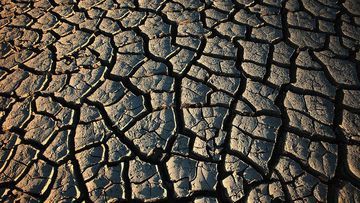 Misteri Lahan Retak di Kalimantan Barat: Analisis Mendalam Pakar IPB Terkait Kemiripan dengan Pola Tanah Afrika