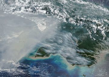 NASA Ungkap Kebakaran Papua Asap Tebal Terlihat dari Satelit dan Ancaman Emisi Karbon