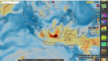 Pantau Arah Asap Karhutla Lewat 4 Situs Ini: Cara Cepat Memantau Kebakaran Hutan dan Dampak Kesehatan