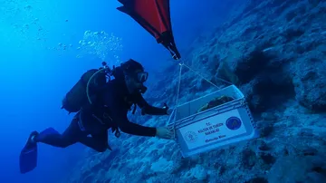 Penemuan Arkeologi Luar Biasa: Bangkai Kapal Tertua di Dunia Ditemukan Umurnya 4 700 Tahun di Turki