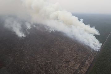 Strategi Pemerintah Hadapi Krisis Karhutla dan Ancaman Kabut Asap Lintas Negara