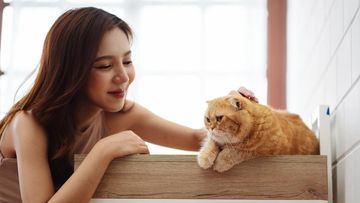 Studi Terbaru Ungkap Parasit Berbahaya pada Kucing yang Dapat Menular ke Manusia