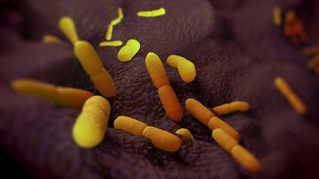 Tragedi Laboratorium Rusia: Ilmuwan Tewas Akibat Pneumonia, 200 Orang Kini Dalam Pengawasan Ketat