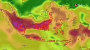 Transparansi Algoritma: Meta Diminta Buka-bukaan Soal Dugaan Penghapusan Konten Karhutla