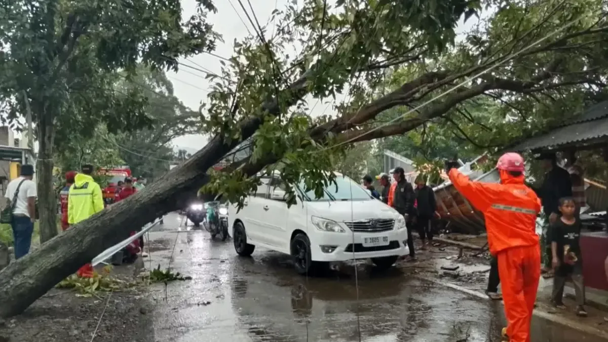 Waspada Cuaca Ekstrem: Hujan Deras Picu Banjir, Pohon Tumbang, Hingga Ancaman Erosi di Berbagai Wilayah