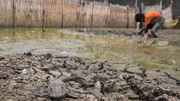 Waspada Kemarau Ekstrem: Super El Nino 2026-2027 Mengintai Indonesia Ini Ancaman yang Dibawa